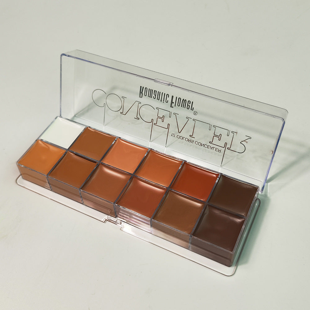 12 Colors Concealer Dark Skin Waterproof Full Coverage