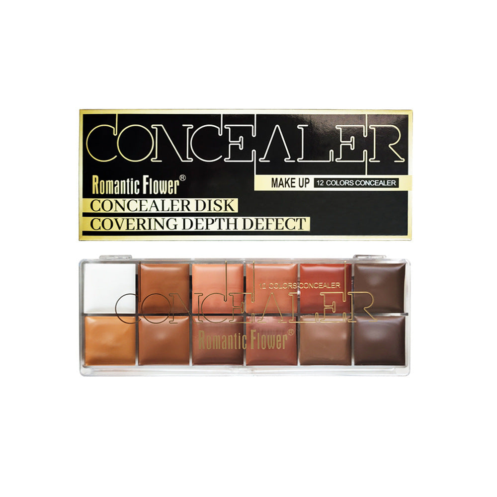 12 Colors Concealer Dark Skin Waterproof Full Coverage