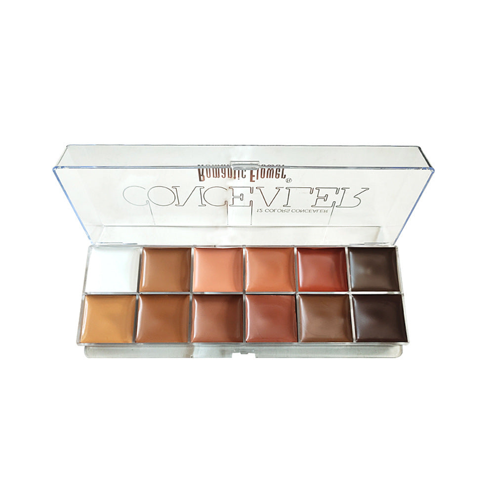 12 Colors Concealer Dark Skin Waterproof Full Coverage